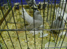 DSC06768