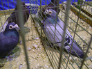 DSC06780