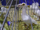 DSC06790