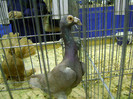 DSC06794