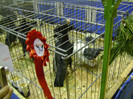 DSC06796