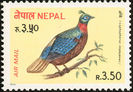 nepal 2