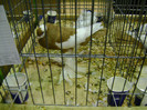DSC06802
