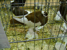 DSC06806