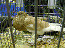 DSC06819