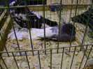 DSC06823