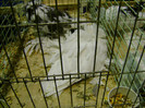 DSC06824