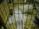 DSC06825