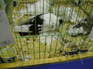 DSC06826