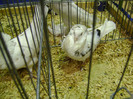 DSC06836