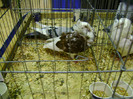 DSC06837