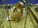 DSC06840