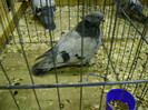 DSC06850