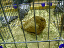 DSC06858