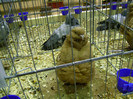 DSC06859