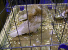 DSC06870