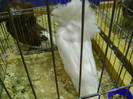 DSC06890