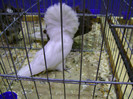 DSC06891