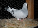 F2010 - 06.11.2011