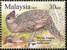 malaysia