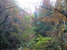 CIMG0129