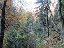 CIMG0130