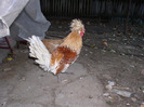 Nov2011 047
