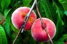 images (9)