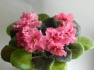 DSCN4304