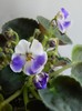 DSCN4262