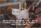 MI S A STRICAT MASINA DE SPALAT !