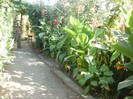 P9300109