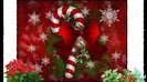 531636-1024x576-candykane-and-christmas-flowers