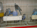 DSC01736