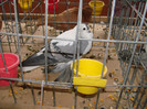 DSC01750