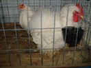 DSC01751