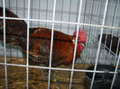 DSC01753