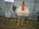 DSC01754