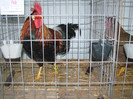 DSC01756