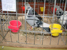 DSC01758