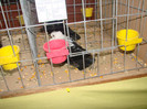 DSC01759