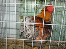 DSC01761