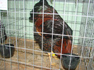 DSC01762