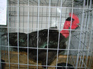 DSC01764