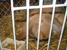 DSC01770