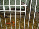 DSC01771