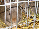 DSC01779