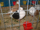 DSC01788