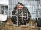 DSC01790