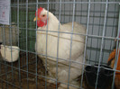 DSC01795
